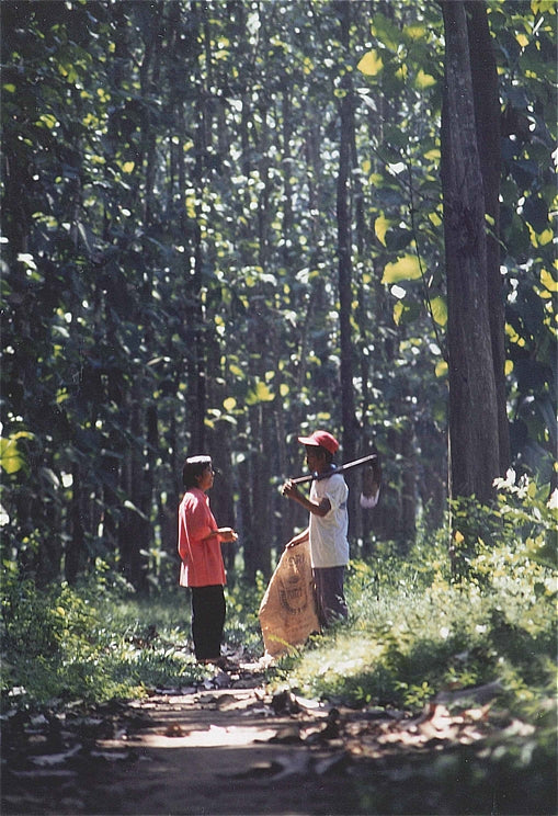 How was DRIED KONYAKU created?